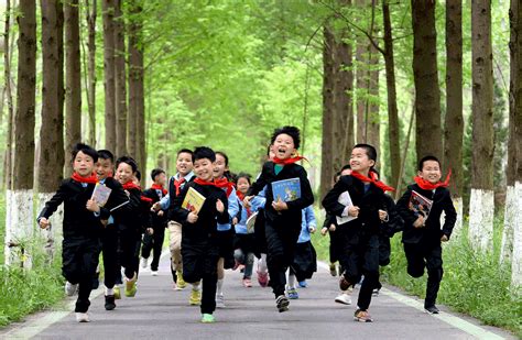 35 Of Chinas Schools Are Privately Run Cn