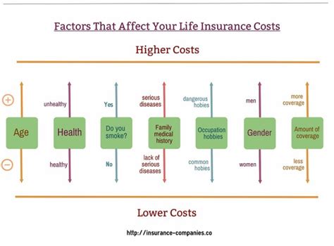 Different Types Of Life Insurance Explanation And The Ultimate Guide