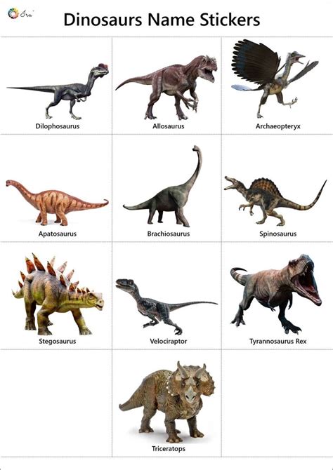 Dinosaur Name Stickers With Different Types Of Dinosaurs And Their