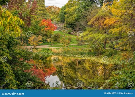 Beautiful Autumn Scenery Stock Image Image Of Fall Lake 61245833