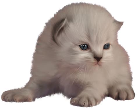 Kitten Clipart Png