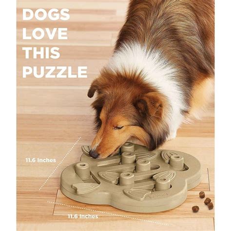 Outward Hound Nina Ottosson Puzzle Toy For Dogs Astaduka Store