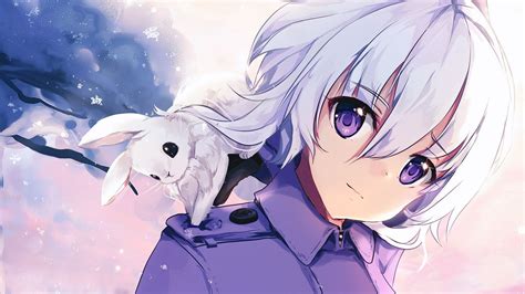Wallpaper Girl Rabbit White Hair Purple Eyes Anime Download