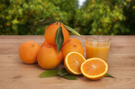 Orange Die Goldene Frucht FÜr Gute Gesundheit Fitolympia