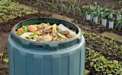 Cómo Hacer Compost Con Los Residuos Orgánicos De La Casa