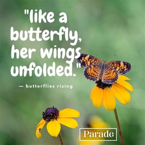 100 Butterfly Quotes Parade Entertainment Recipes Health Life Holidays