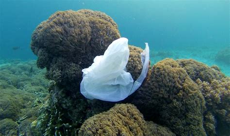 Plastic Bag In Ocean Making Oceans Plastic Free