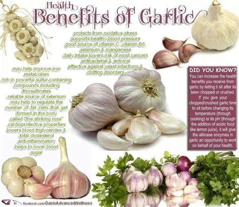 benefits for garlic garlic health garlic benefits garlic health benefits