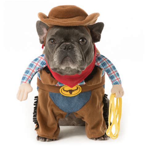 Halloween Dog Costume Ideas 32 Easy Cute Costumes For Your Canine