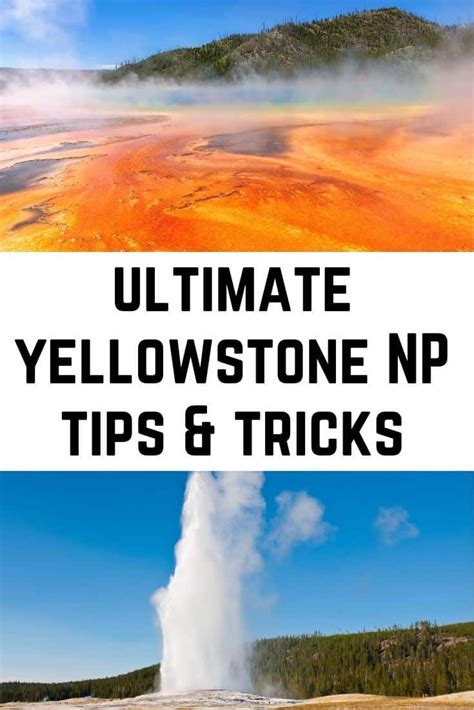 Best Yellowstone Tips And Tricks For Planning A Trip To Yellowstone Usa