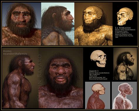 Pin On Hominids