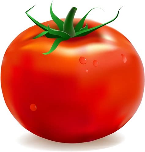 Tomato Clipart Free Vector Download 3372 Free Vector For Commercial