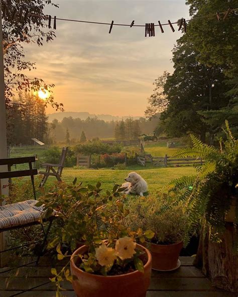 Lazy Hazy Summer Evening On The Farm Outdoor Nature Photography
