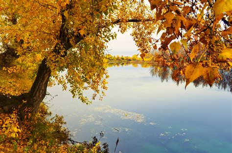 Free Photo Autumn River Area Silence Purity Free Download Jooinn