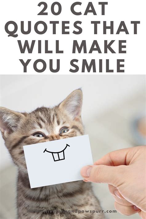 20 Cat Quotes That Will Melt Your Heart Artofit
