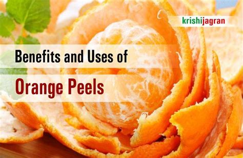 10 Reasons You Should Never Throw Away Orange Peels Know Ways To Use It