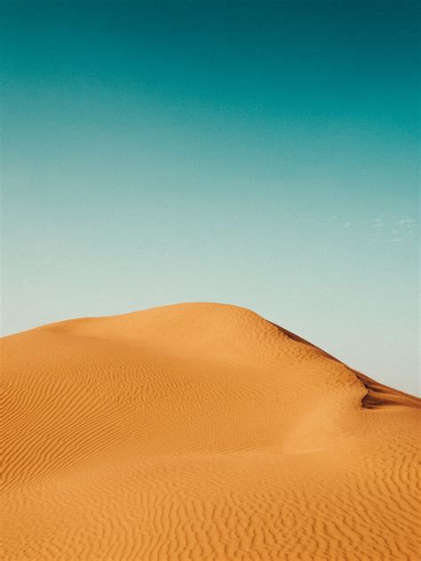 Free Download Desert Camel Wallpapers Top Free Desert Camel Backgrounds
