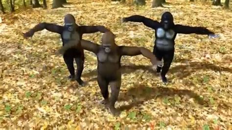 Monkey Dance Funny Dance Youtube
