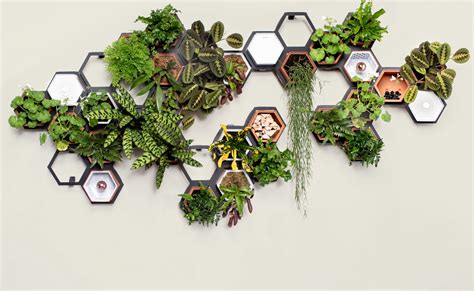Horticus Modular Living Wall The Coolector