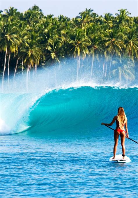 On A Sup In Paradise Surfer Surfing Surfer Girl