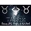 Taurus Zodiac Constellation Horoscope Pack 312302  Card Making
