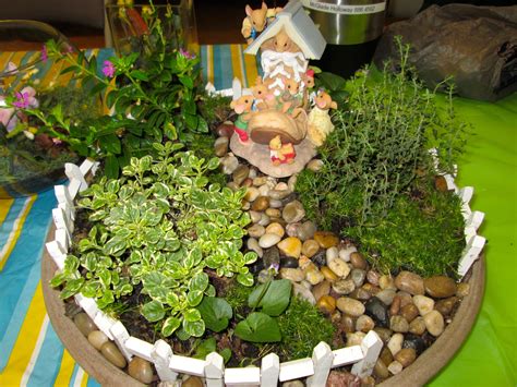 10 Dish Garden Ideas Most Of The Brilliant And Beautiful Dish Garden