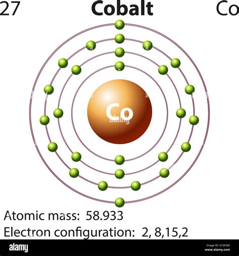 Symbol And Electron Diagram For Cobalt Illustration Stock Vector Image