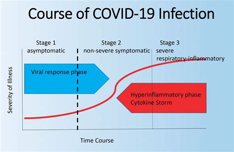 Cytokine Storm And The Prospects For Immunotherapy With Covid 19