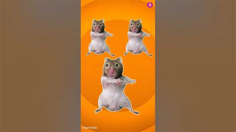 Left Right Hamster Dance ️🐹 Shorts Youtube