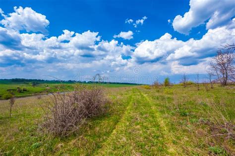 Green Spring In Russia Stock Image Image Of Road Horizon 105015525