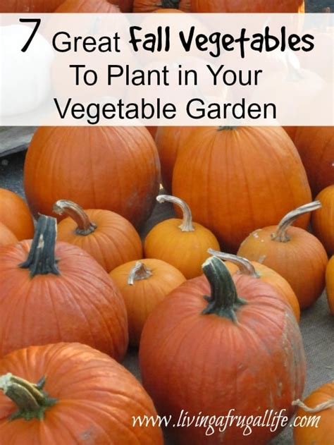 7 Great Fall Vegetables To Plant In Your Vegetable Garden