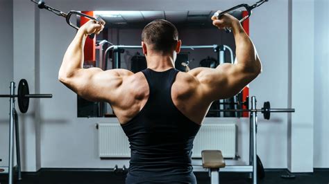 The Best Lat Pulldown Bars For Your Back Workouts And Home Gym Lupon