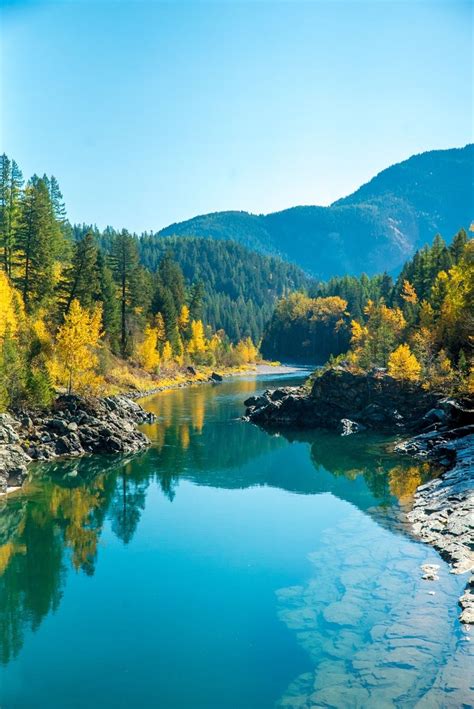 Stillness Of Fall Fall Along The West Fork Of The Flathead River