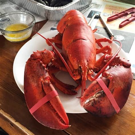 75 Classic New England Foods New England Today