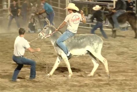 Wild West Events Vernals Dinosaur Roundup Rodeo
