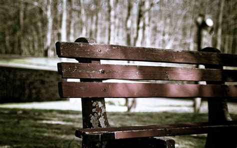Bench Full Hd Wallpaper And Background Image 2560x1600 Id447404