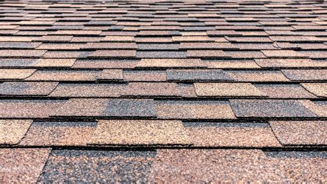 Best Types Of Asphalt Roof Shingles In Florida Classic Roofing