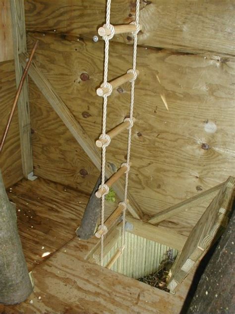 Outside this treehouse is a pulley system for treasures and a ladder. Treehouse Phase 5