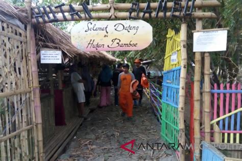 Ular di hutan rahasia/tersembunyi di atas ketinggian 2000mdpl. Wisata Hutan Bambu Bekasi Timur - Tempat Wisata Indonesia