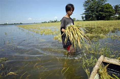 In other words, climate change includes major changes in temperature, precipitation, or wind patterns, among other effects, that. How Climate Change Will Alter Our Food