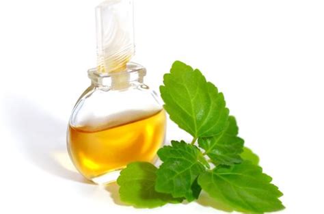 15 Amazing Benefits Of Patchouli Essential Oil Organic Facts