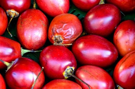 Images Gratuites Fruit Aliments Rouge Produire Légume Marché En