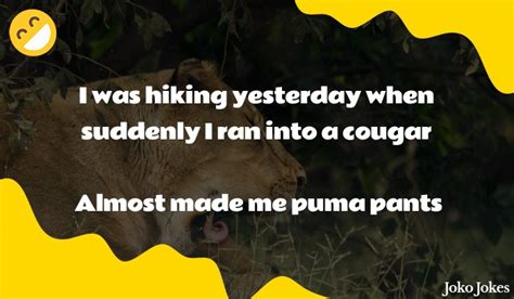 23 Puma Jokes And Funny Puns Jokojokes
