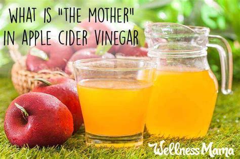 What Is Apple Cider Vinegar With The Mother Wellness Mama