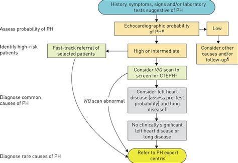 Diagnosis Of Pulmonary Hypertension European Respiratory Society