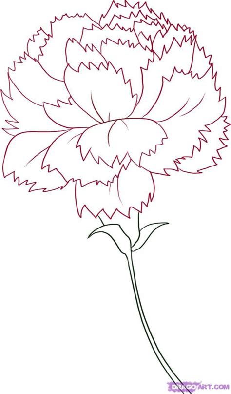 Color the stem and bud with green color. Simple Lavender Drawing at GetDrawings.com | Free for ...