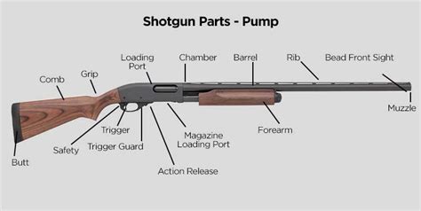 Shotgun Basics Identifying Parts And Functions Tactical Experts