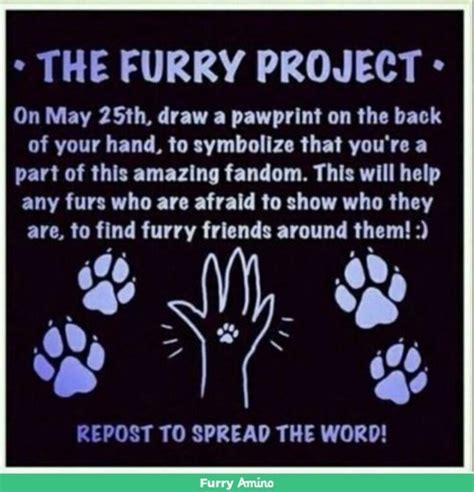 🐾may 25th The Furry Project🐾 Furry Amino