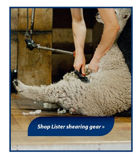 Animal Health Supplies Sheep Pgg Wrightson