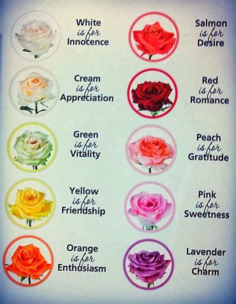 Different Meanings Of Flowers Flowers Art Ideas Pages Dev